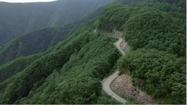 ‘운탄고도 1330’의 4길 정선 예미역~화절령(꽃꺼끼재) 사이 산악지역에 개설된 숲길 전경. [강원도 제공]
