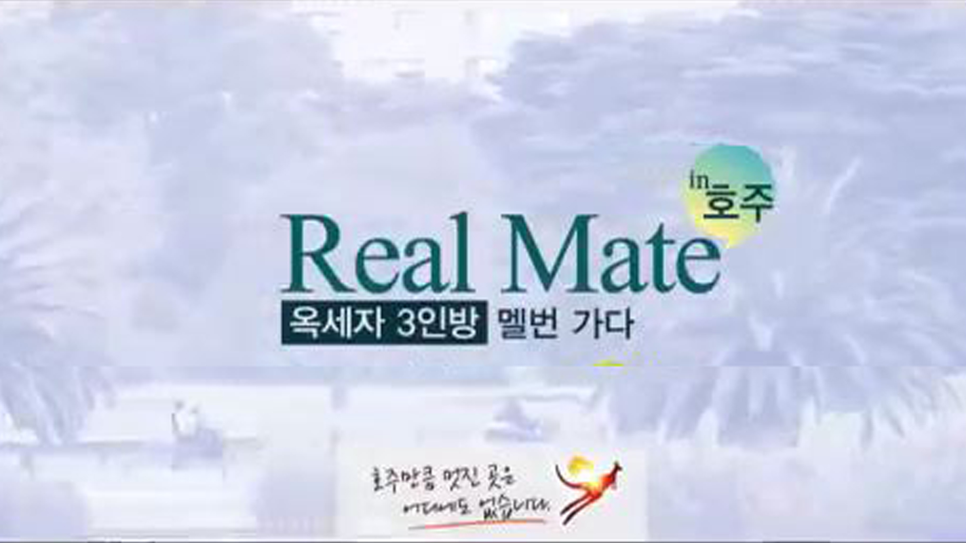 Real Mate in 호주3