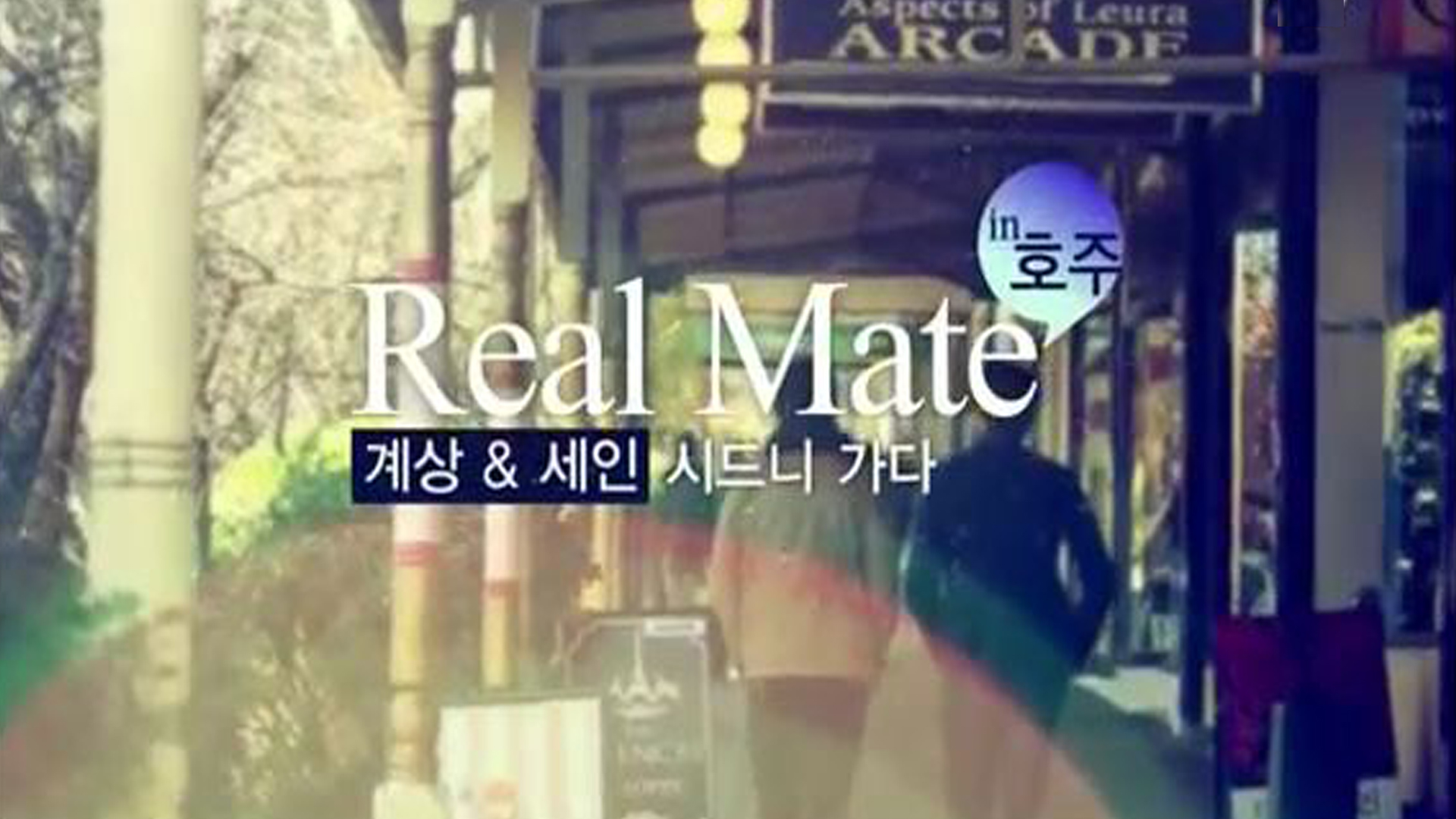 Real Mate in 호주4